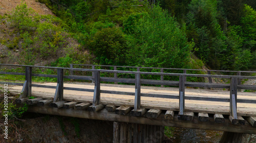 Canvas Print Rustic wooden bridge spans a lush green canyon with a flowing stream below