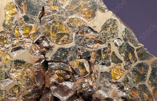 Bild auf Leinwand Macro Pallasite Meteorite Metallic Olivine Texture