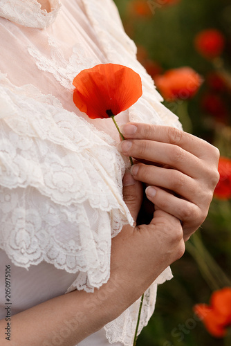 girl holds a poppy flower close up
