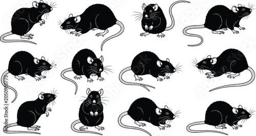 Photos Rat vector illustration set with stylized silhouettes, detailed whiskers, rounde