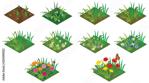 Foto Isometric Grass And Wildflower Patches Vector Illustration