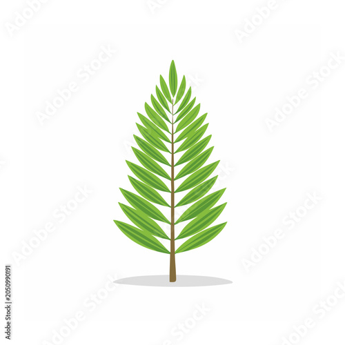 Flat design illustration of a green palm leaf