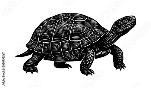 Cuadro en lienzo Walking Turtle Silhouette Vector with Detailed Shell Scutes Pattern and Bold Rep