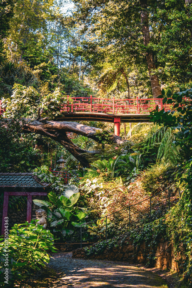 Obraz premium Japanese Garden at Monte Palace Tropical Garden in Funchal, Madeira