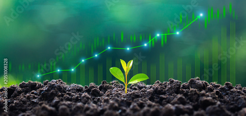 Foto A small green tree sprouts from fertile soil against a backdrop of green bar graphs representing rising financial performance and glowing green growth lines