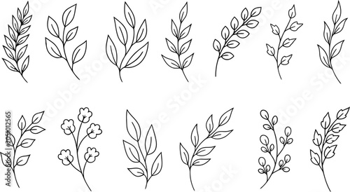 Black and white leaf and flower line art illustrations on white background