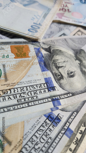 collage made of dollars and Turkish liras