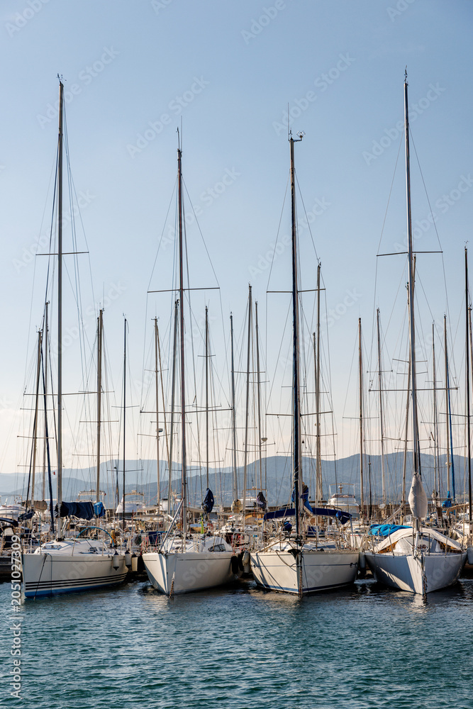 Obraz premium White sailboats and yachts moored in a calm harbor marina