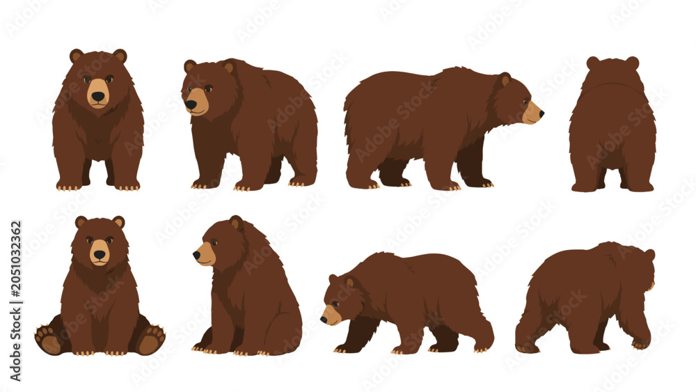 Fototapeta premium Brown bear character set in multiple poses and views
