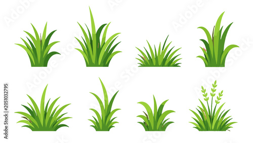 Quadro su tela Set of green grass tufts isolated on white background
