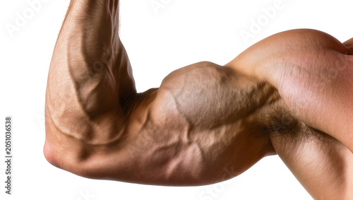 фотографія Muscular male arm with prominent veins and biceps flexed