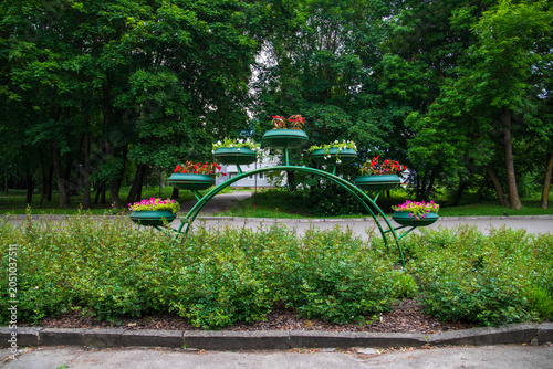 Valokuva Green metal arch flower stand with blooming petunias in a public park inside a lush shrub hedge near asphalt road, modern municipal vertical gardening and urban landscape design at summer day