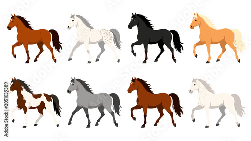 Quadro su tela Set of eight running horse illustrations in different coat colors