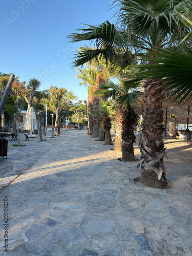 Beautiful tropical palm trees swaying under a bright blue sky. Exotic summer landscape with lush green foliage, warm sunshine, vacation atmosphere, and a relaxing paradise destination.
