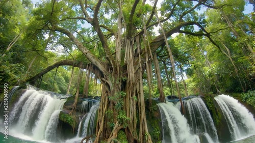 Breathtaking Tropical Jungle Waterfall Scene with Ancient Banyan Tree and Lush Foliage