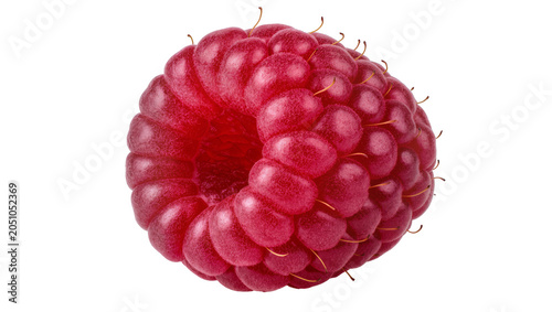 Foto Single ripe raspberry fruit with delicate hairs
