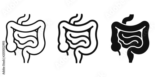 Photos Human digestive system illustration with gut health stages
