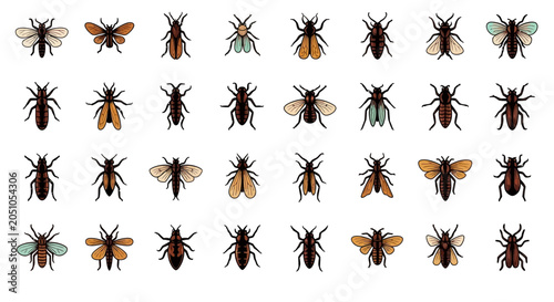 Foto Collection of Various Beetles and Insects.