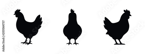 Quadro su tela Chicken Hen Silhouettes Set. Farm Bird Vector Icons.