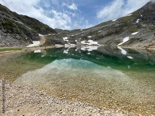 Randonnée dans le vercors avec fleur, montagne et lac de la grande moucherolle