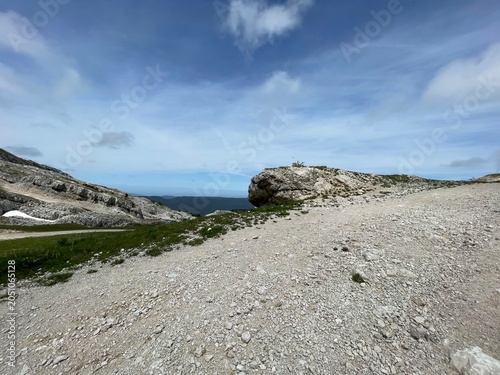 Randonnée dans le vercors avec fleur, montagne et lac de la grande moucherolle