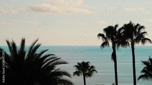 Tropical Paradise with Palms by the Ocean in 4k