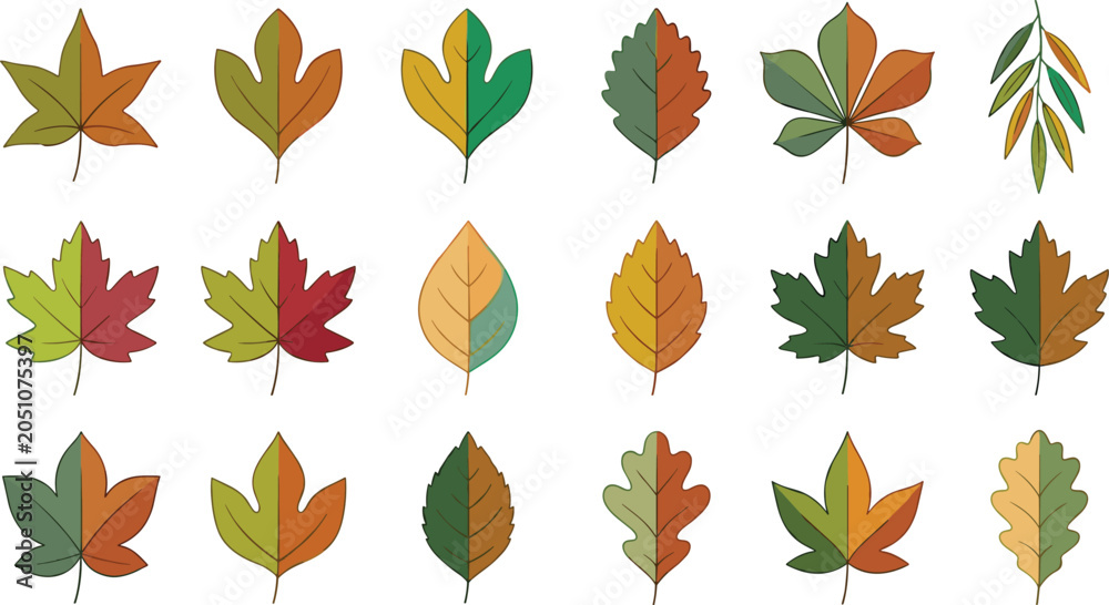 Fototapeta premium Autumn Leaf Collection with Colorful Fall Foliage Icons Featuring Maple Oak and Seasonal Botanical Elements for Nature Design