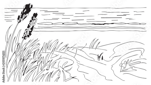 Coastal landscape sketch with grass and lavender near water.