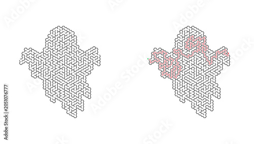 Fényképezés Ghost hexagonal maze with solution