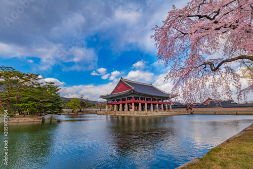 Foto Beautiful spring view of Gyeonghoeru Pavilion in Gyeongbokgung Palace with blooming pink weeping cherry blossoms and a calm pond under a dramatic sky, Seoul, South Korea