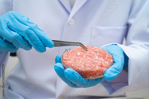 Scientist holding Petri dish with meat in science laboratory for food product development.