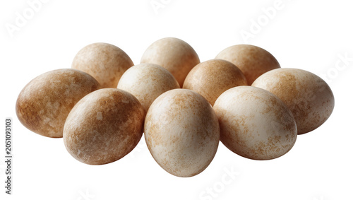 Group of small speckled bird eggs