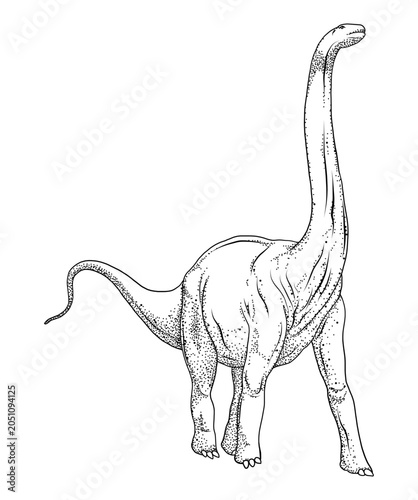 Andesaurus dinosaur vintage engraved realistic detailed illustration