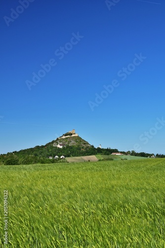 Burgruine Staatz in Österreich, vertikal