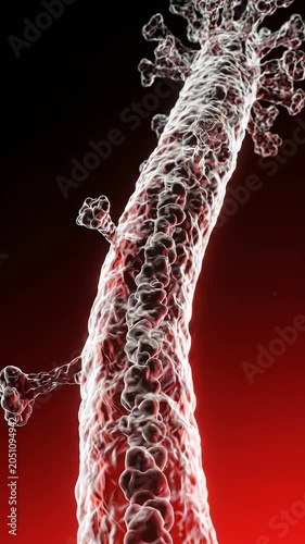 Abstract representation of a virus structure with intricate details, showcasing a continuous progression of visible features against a dark red background