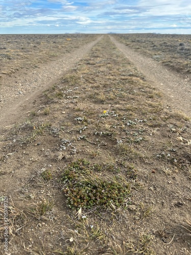 Remote dirt road crossing the vast Patagonian steppe in Argentina beneath a dramatic cloudy sky. A minimalist landscape that conveys solitude, freedom, adventure, and the immense scale of nature.
