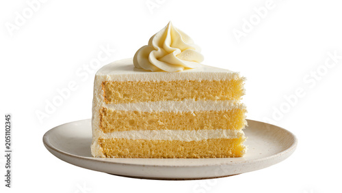 Tableau sur toile Layered vanilla cake slice with cream frosting swirl on plate