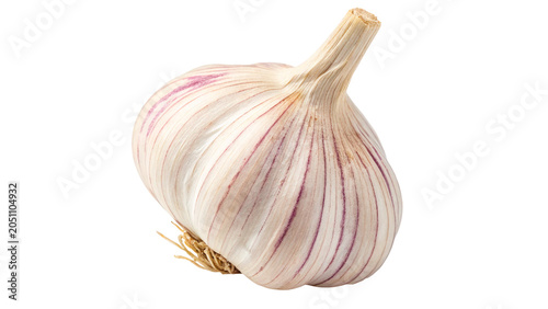 Konstfotografi Fresh raw garlic bulb organic spice vegetable agriculture cooking ingredient iso