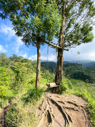 Fotografia A wooden swing attached to a living tree overlooking a valley on the slopes of Mount Merapi