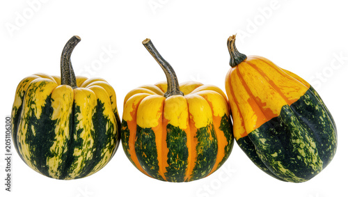фотографія Three ornamental gourds with yellow orange, and green stripes