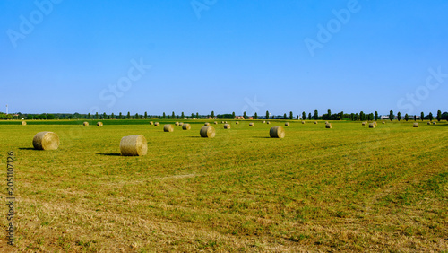 Bild auf Leinwand Rural landscape along via Rovereto at Solaro, Milan province, Italy