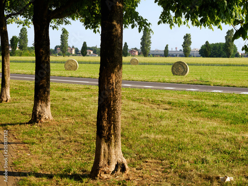 Rural landscape along Corso Berlinguer at Solaro, Milan province, Italy