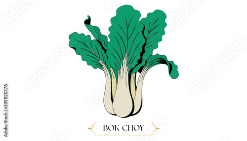 Bild auf Leinwand Very beautiful vibrant bok choy plant featuring crisp green leaves, pale stems,