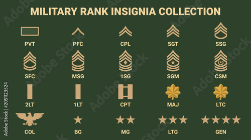 Cuadro en lienzo Military rank insignia symbols collection.