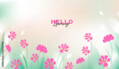 Hello spring vector background with beautiful pink cosmos flowers and green grass. Soft pastel watercolor floral template for greeting card, wedding, seasonal sale banner and wallpaper.