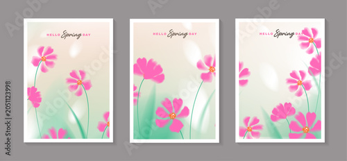 Set of spring vector posters with beautiful pink cosmos flowers. Collection of soft pastel watercolor floral covers template for greeting card, wedding invitation, vertical banner and wall art.