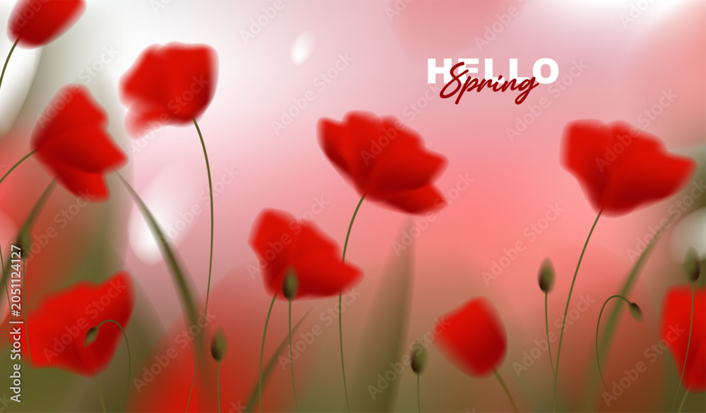 Fototapeta premium Beautiful spring horizontal banner with red poppy flowers on abstract blurred bokeh background, vector illustration of blooming poppies floral backdrop for greeting card, web header design.
