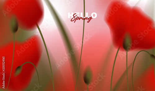 Beautiful spring horizontal banner with red poppy flowers on abstract blurred bokeh background, vector illustration of blooming poppies floral backdrop for greeting card, web header design.