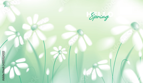 Beautiful spring horizontal banner with white daisy flowers on abstract blurred green background, vector illustration of blooming daisies floral backdrop for greeting card, web header design.