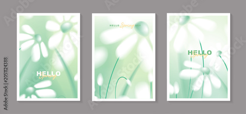 Set of spring floral poster templates with abstract blurred white daisy flowers background, soft focus blooming daisies illustration for vertical banner, social media story, greeting card design